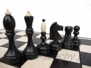 Чорныя і светлыя турнірныя фігуры